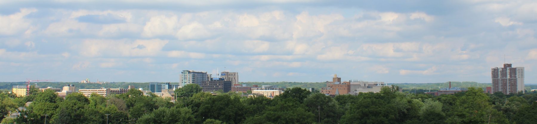 Downtown Kalamazoo skyline